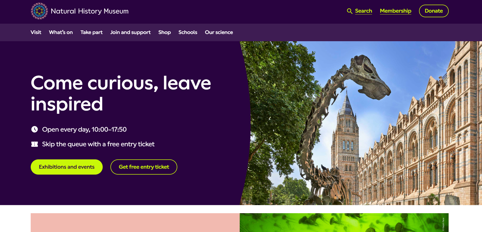 Screenshot 2026-03-01 174520