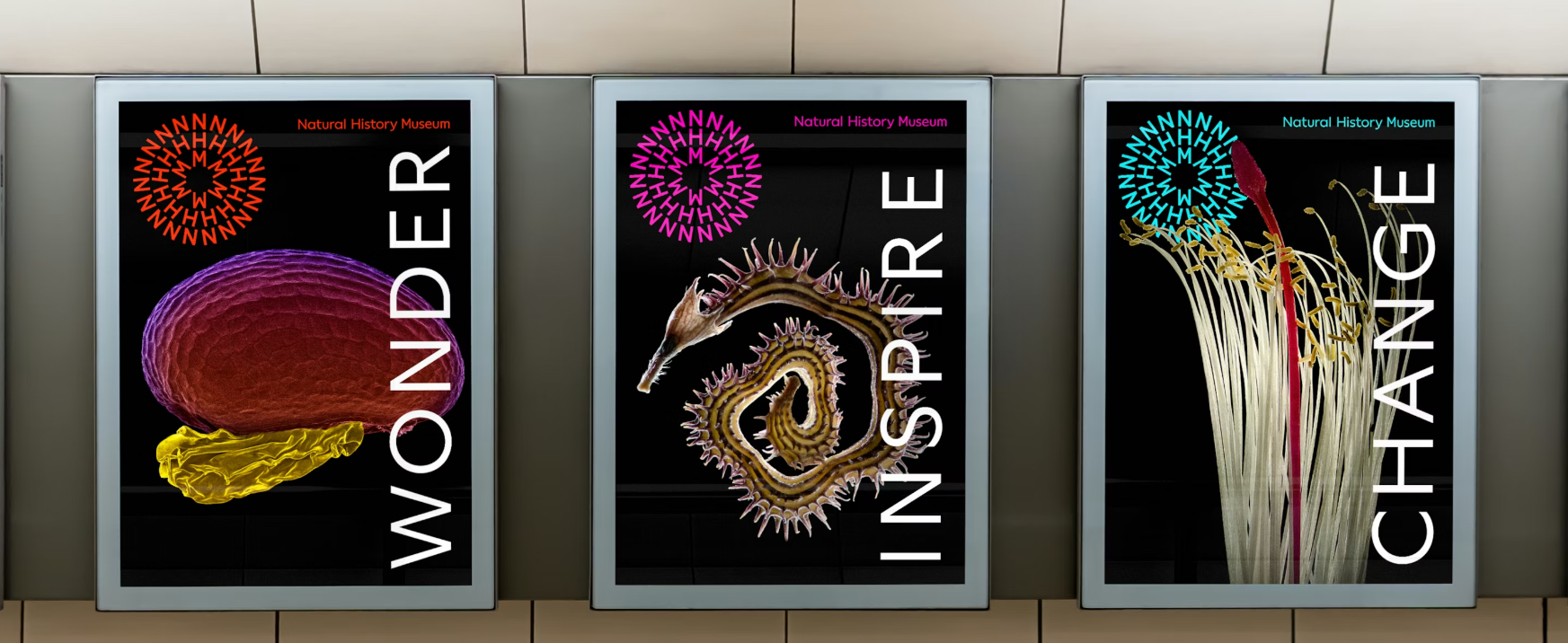 Screenshot 2026-03-01 175401